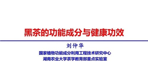 茶的功能成分與健康功效 | 茶、飲茶與健康