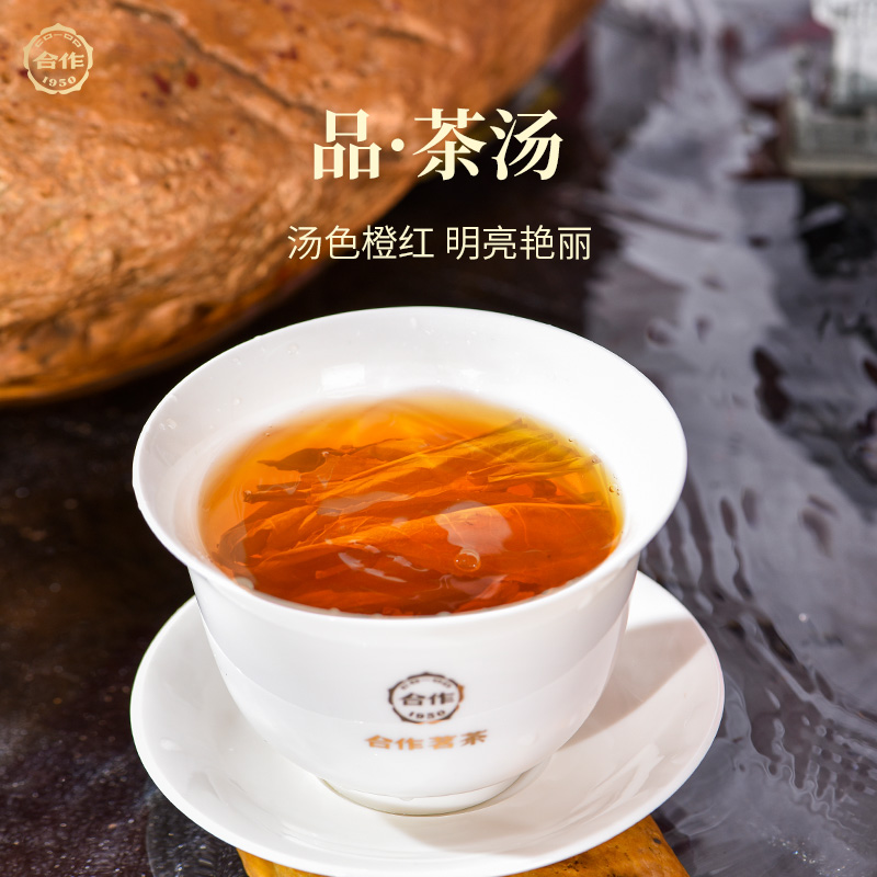 正巖1978肉桂 紅