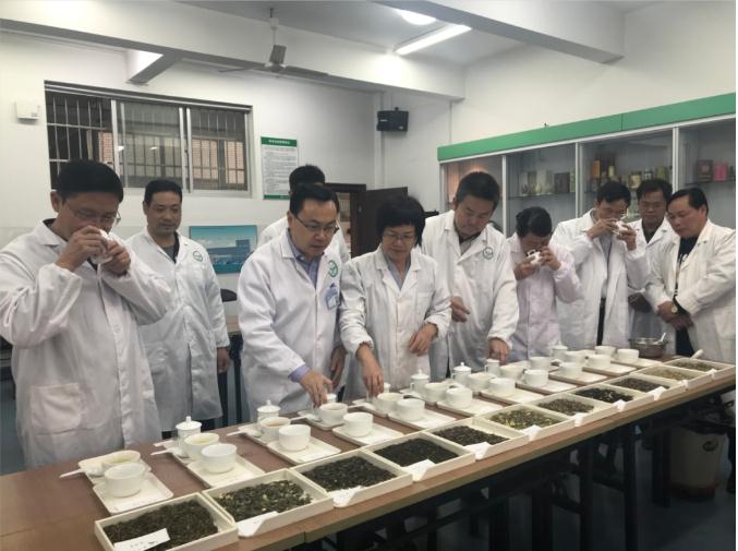 瀟湘茶業(yè)開展花茶審評和座談會，劉仲華院士等專家共謀花茶產(chǎn)業(yè)發(fā)展