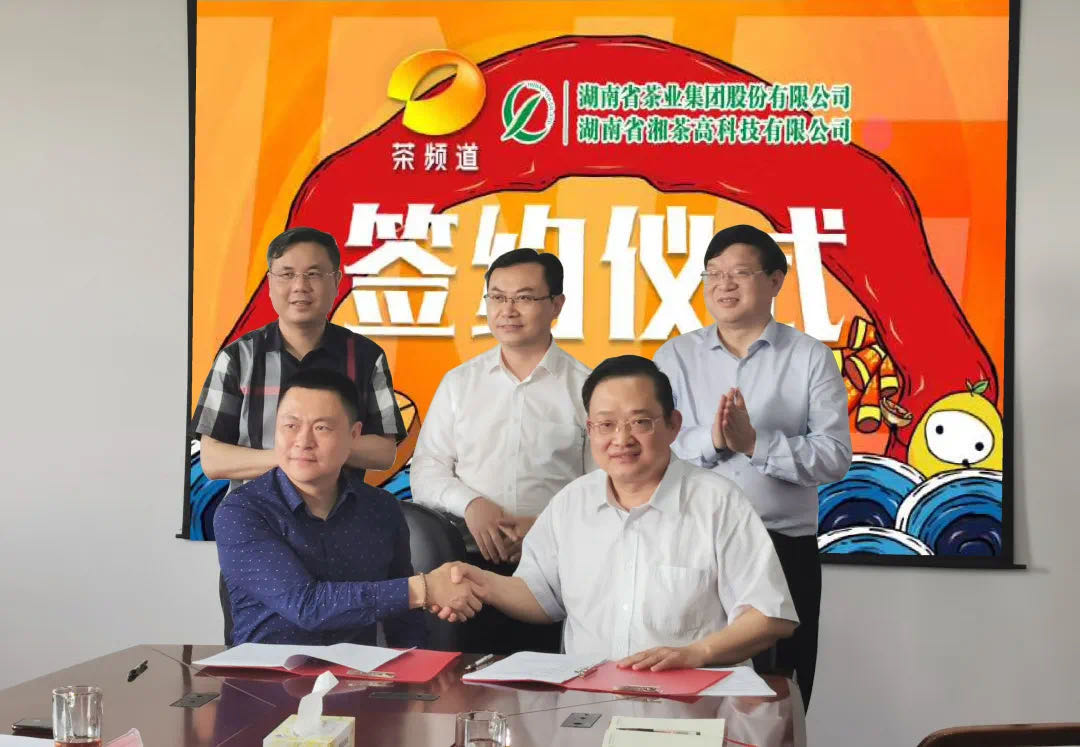 院士見證，輕輕茶發(fā)力品牌建設(shè)，與茶頻道達(dá)成深度合作