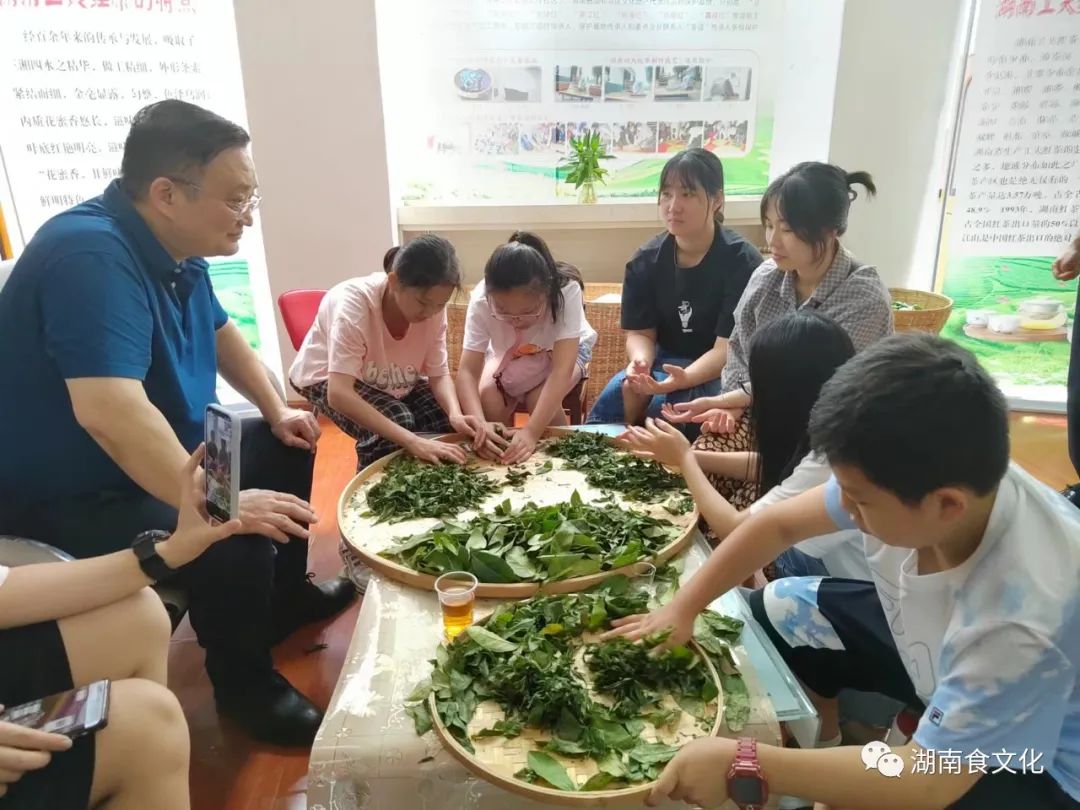 原載人民日?qǐng)?bào)“人民視點(diǎn)”茶葉是怎樣做出來的？湖南大、中、小學(xué)生體驗(yàn)湖南工夫紅茶制作
